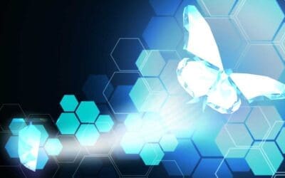 Liddell Consulting Group works with leaders to evaluate their environment, build business and organizational strategies, create a culture of productivity and engagement, and drive measurable results.