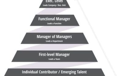 Leadership Insights – Leadership Development | Liddell Consulting May Newsletter