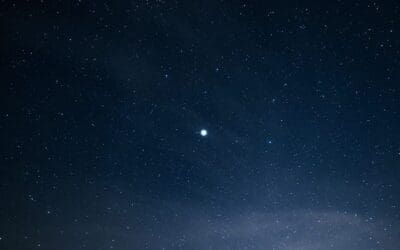 The 12 Days of Leadership – Fostering an Environment of Transparency, Collaboration & Trust