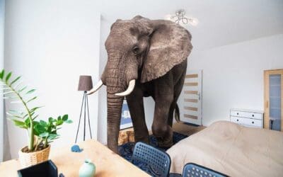 The Elephant in the Room – When firing is unavoidable – Leadership Insights from Liddell Consulting