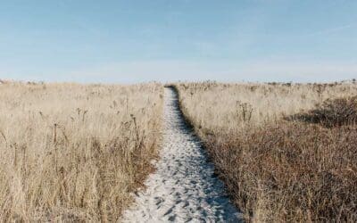 Creating Pathways to Leadership …isn’t only about your emerging leaders – Leadership Insights from Liddell Consulting