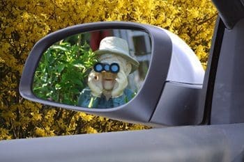 Plan for Leadership Development and Executive Education Before You Need It